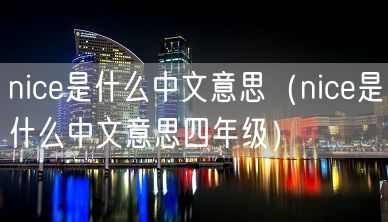 nice是什么中文意思（nice是什么中文意思四年级）