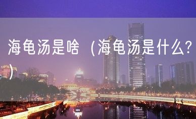 海龟汤是啥（海龟汤是什么?）