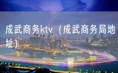 成武商务ktv（成武商务局地址）