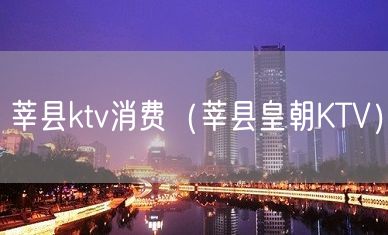 莘县ktv消费（莘县皇朝KTV）