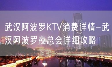 武汉阿波罗KTV消费详情-武汉阿波罗夜总会详细攻略