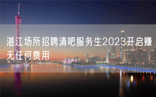 湛江场所招聘清吧服务生2023开启赚无任何费用