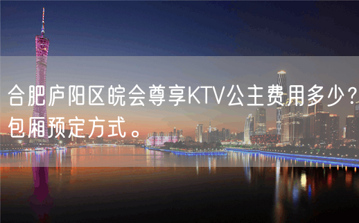 合肥庐阳区皖会尊享KTV公主费用多少？包厢预定方式。