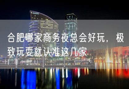 合肥哪家商务夜总会好玩，极致玩耍就认准这几家