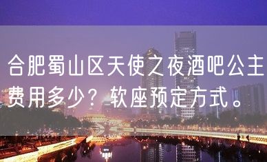 合肥蜀山区天使之夜酒吧公主费用多少？软座预定方式。