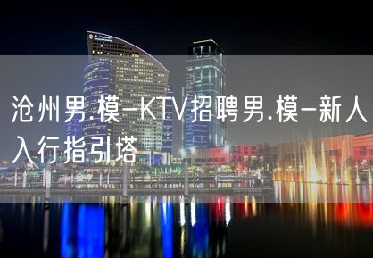 沧州男.模-KTV招聘男.模-新人入行指引塔