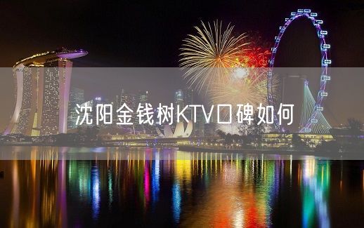 沈阳金钱树KTV口碑如何